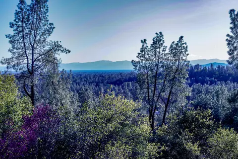 13777 Peace Valley Ln, Redding, CA 96003 photo 19