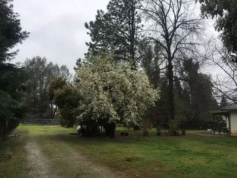 19755 Paso Robles Ave, Redding, CA 96003 photo 33