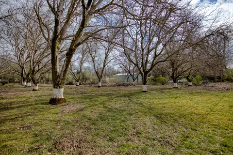 21285 Shelly Ln, Anderson, CA 96007 photo 6