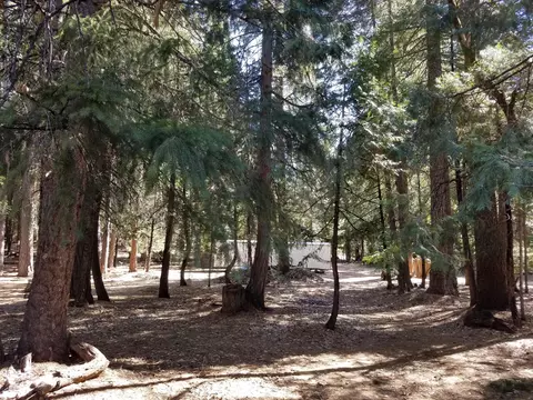 34700 Coot Ln, Shingletown, CA 96088 photo 49