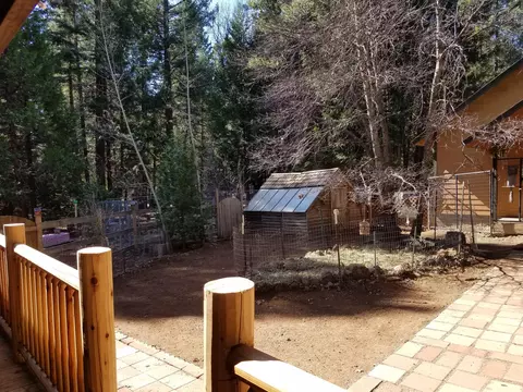 34700 Coot Ln, Shingletown, CA 96088 photo 42