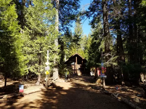 34700 Coot Ln, Shingletown, CA 96088 photo 40