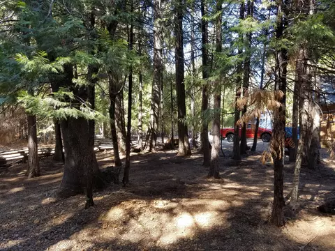 34700 Coot Ln, Shingletown, CA 96088 photo 46