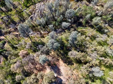 13830 Ridge View Rd, Redding, CA 96003 photo 7
