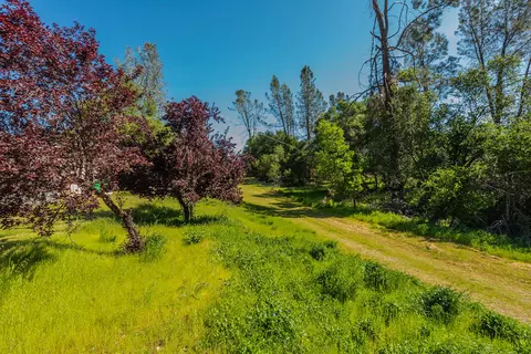13620 Broken Branch Trl, Redding, CA 96003 photo 95