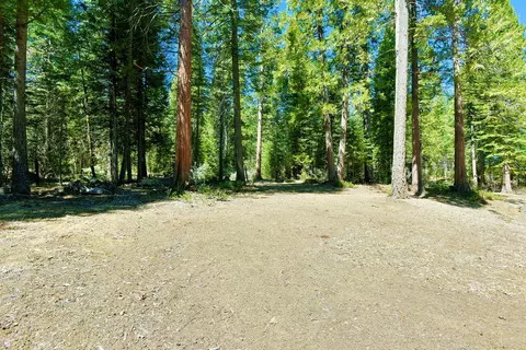219 Old Mill Dr, Mccloud, CA 96057 photo 22