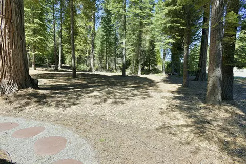219 Old Mill Dr, Mccloud, CA 96057 photo 25