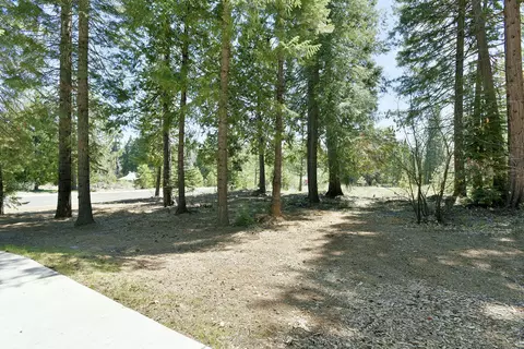 219 Old Mill Dr, Mccloud, CA 96057 photo 20