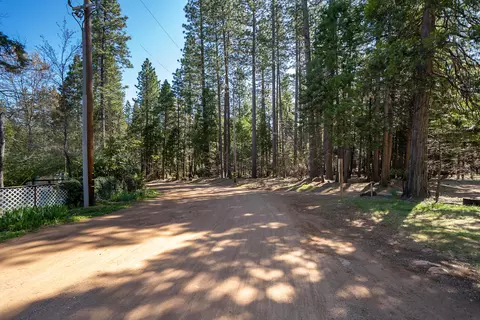 6961 Woodpecker Ln, Shingletown, CA 96088 photo 9