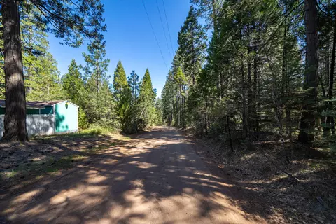 6961 Woodpecker Ln, Shingletown, CA 96088 photo 5