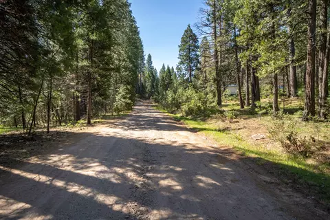 6961 Woodpecker Ln, Shingletown, CA 96088 photo 1
