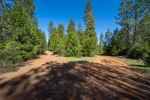 6961 Woodpecker Ln, Shingletown, CA 96088 photo 16