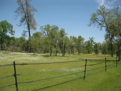 12465 Intermountain Rd, Redding, CA 96003 photo 26