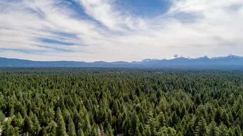 8203 Ritts Mill Rd, Shingletown, CA 96088 photo 6