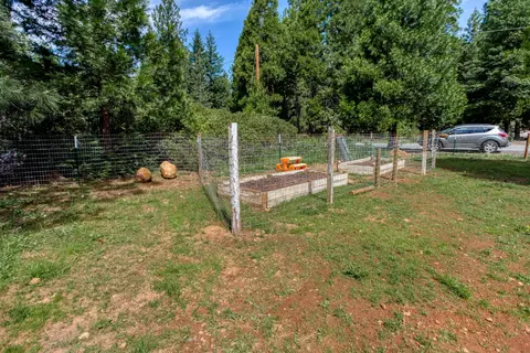 8203 Ritts Mill Rd, Shingletown, CA 96088 photo 31