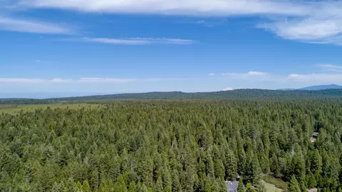 8203 Ritts Mill Rd, Shingletown, CA 96088 photo 38