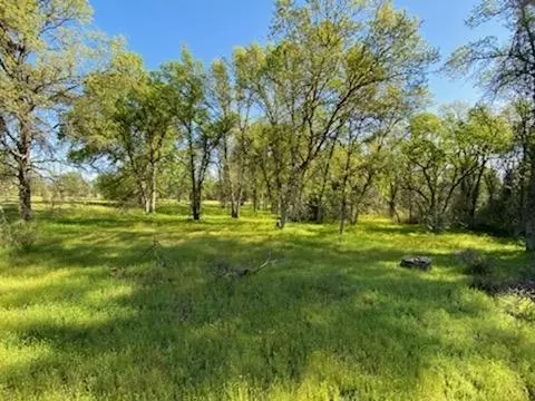 5791 Constitution Way, Redding, CA 96003 photo 40