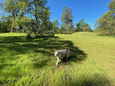 5791 Constitution Way, Redding, CA 96003 photo 39