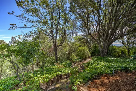 8809 Valley View Rd, Redding, CA 96001 photo 25