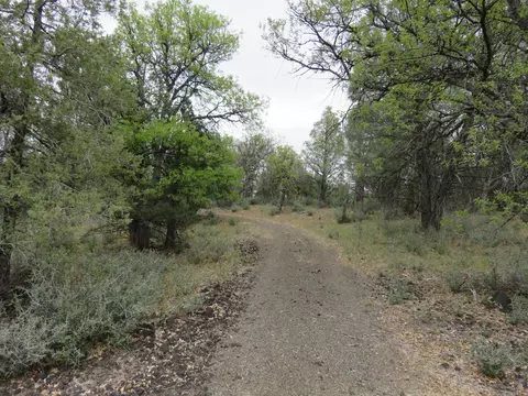 Lot 42 Shoshoni Loop, Fall River Mills, CA 96028