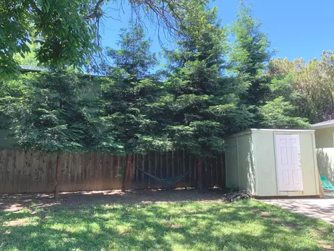 835 Locust St, Redding, CA 96001 photo 13