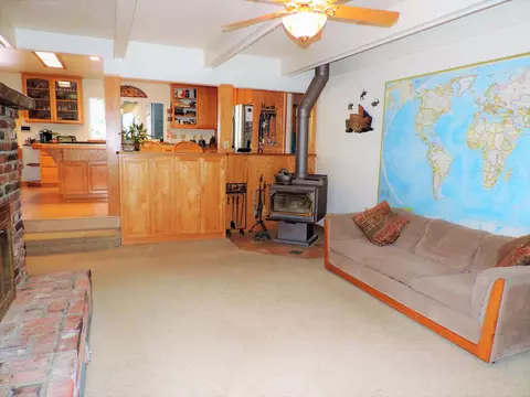 37019 Park Ave, Burney, CA 96013 photo 15