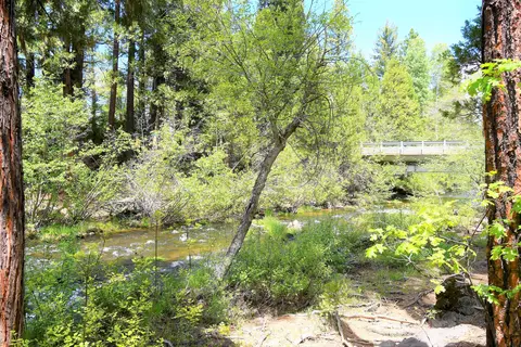 37019 Park Ave, Burney, CA 96013 photo 5