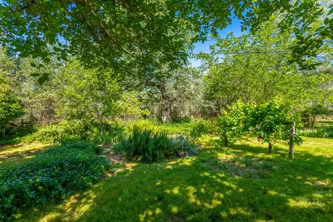 11830 Neal Ln, Redding, CA 96003 photo 18