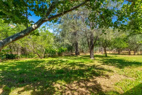 11830 Neal Ln, Redding, CA 96003 photo 20