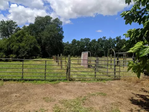12195 Alpha Ln, Redding, CA 96003 photo 58