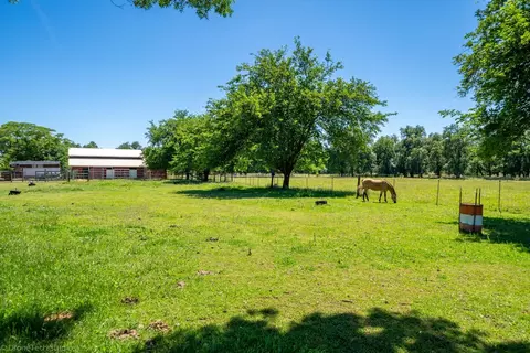 12195 Alpha Ln, Redding, CA 96003 photo 68
