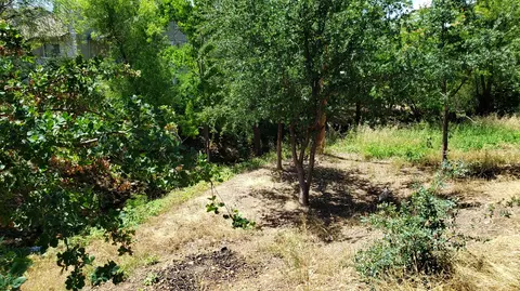 759 Flower Ash Ln, Redding, CA 96003 photo 23