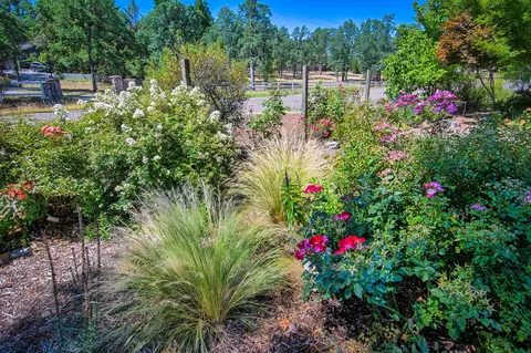 13195 Padani Dr, Redding, CA 96003 photo 50