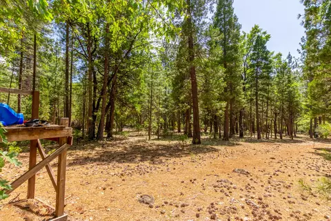 11593 Emerald Woods Ln, Whitmore, CA 96096 photo 57