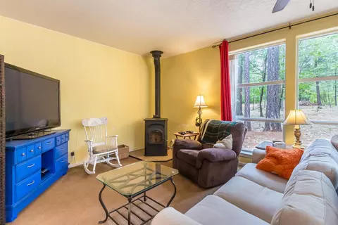 11593 Emerald Woods Ln, Whitmore, CA 96096 photo 9