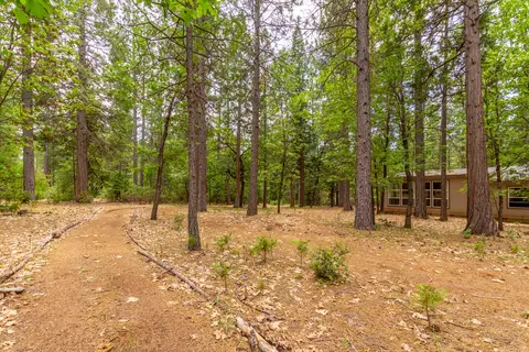 11593 Emerald Woods Ln, Whitmore, CA 96096 photo 28