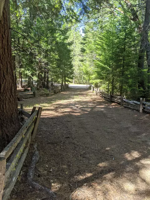 7975 Brokeoff Meadows Rd, Shingletown, CA 96088 photo 29