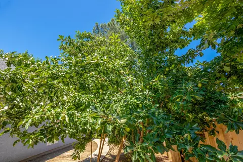 5802 Norwich Ct, Redding, CA 96003 photo 34