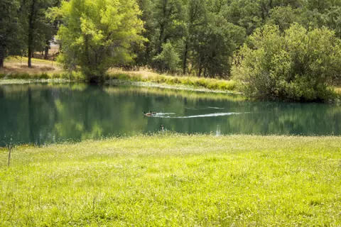 12767 Los Osos St, Redding, CA 96003 photo 33