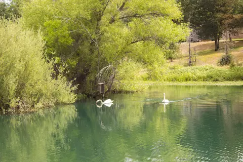 12767 Los Osos St, Redding, CA 96003 photo 34