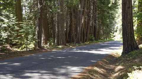 8085 Broke Off Meadows Rd, Shingletown, CA 96088 photo 9