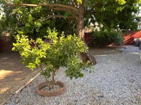 5735 Cascade Dr, Redding, CA 96003 photo 48