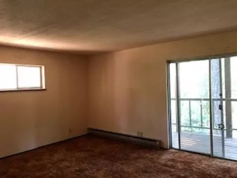 221 Greenhorn, Trinity Center, CA 96091 photo 7
