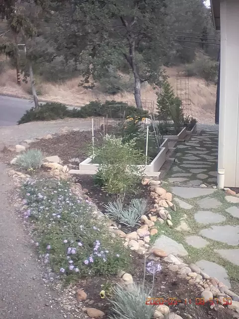 1909 Grandview Ave, Redding, CA 96001 photo 23