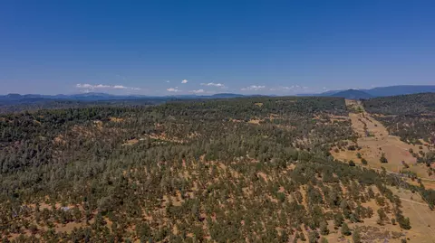14042 Outback Ln, Oak Run, CA 96069 photo 136