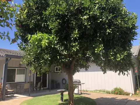 1270 Ledell Dr, Redding, CA 96002 photo 53