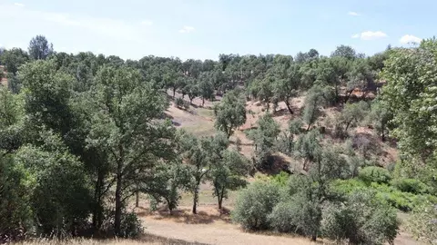 13793 Bear Valley Trl, Redding, CA 96003 photo 6