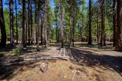34661 Timber Ridge Rd, Shingletown, CA 96088 photo 28