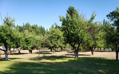 20114 Bartel St, Burney, CA 96013 photo 19