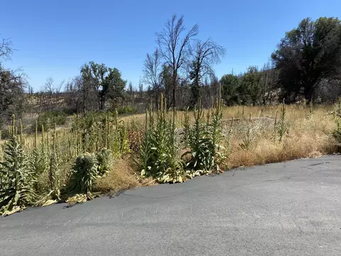 11306 Tanstaafl Ln, Redding, CA 96001 photo 6